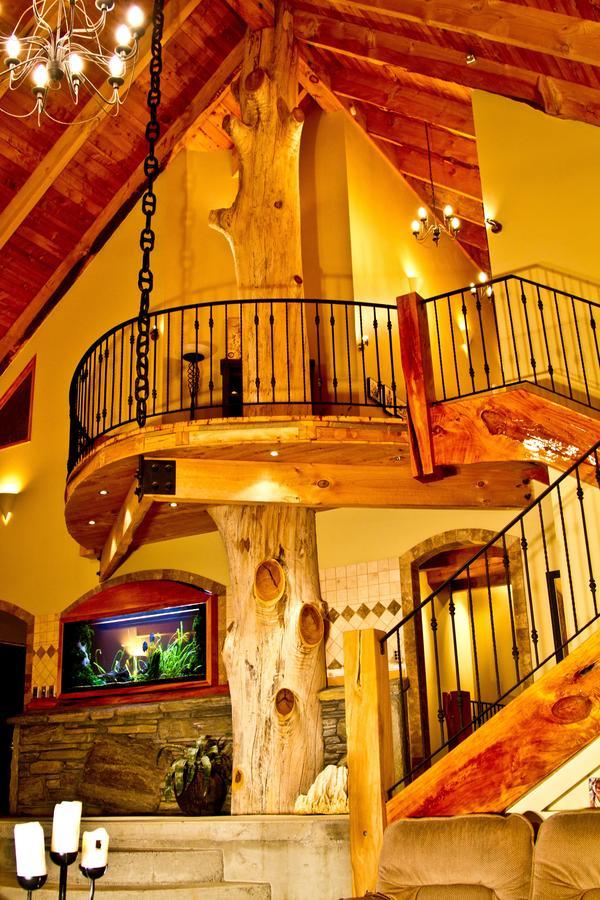 Tree House Lodge Bed & Breakfast Cheviot Exterior photo