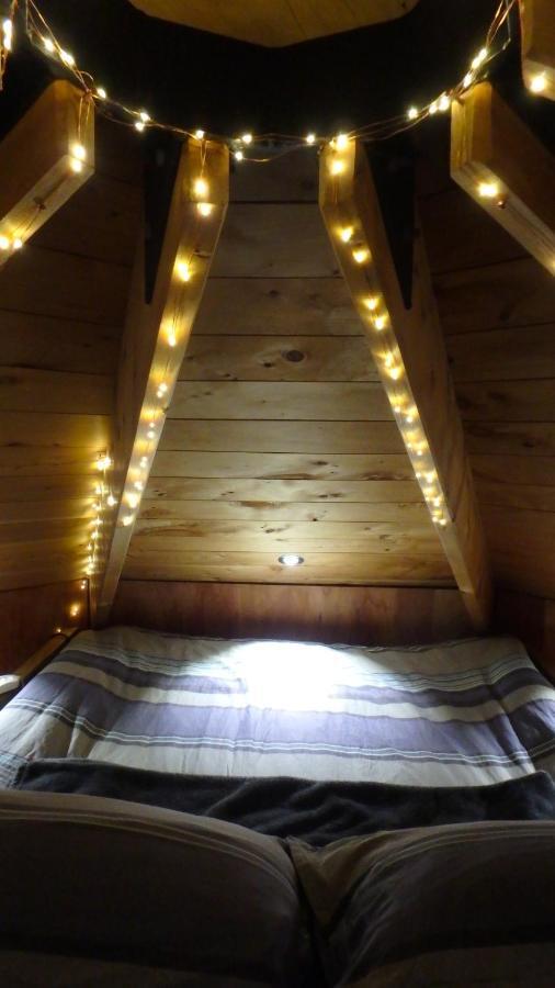 Tree House Lodge Bed & Breakfast Cheviot Exterior photo